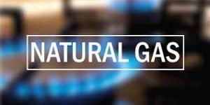 natural gas form